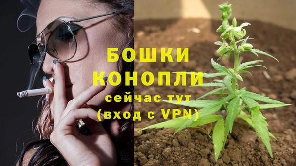 стаф Балахна