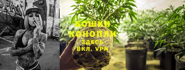 не бодяженный Надым