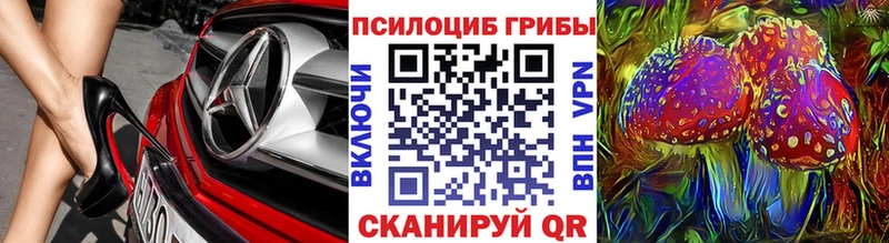 Галлюциногенные грибы Psilocybe Новый Уренгой